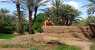 marocco (WxH) - marocco