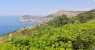 panorama (WxH) - vista panoramica del mare di Dubrovnik