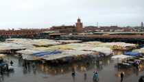 marocco (WxH) - marocco