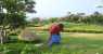 KANYAKUMARI (WxH) - manutenzione giardino 