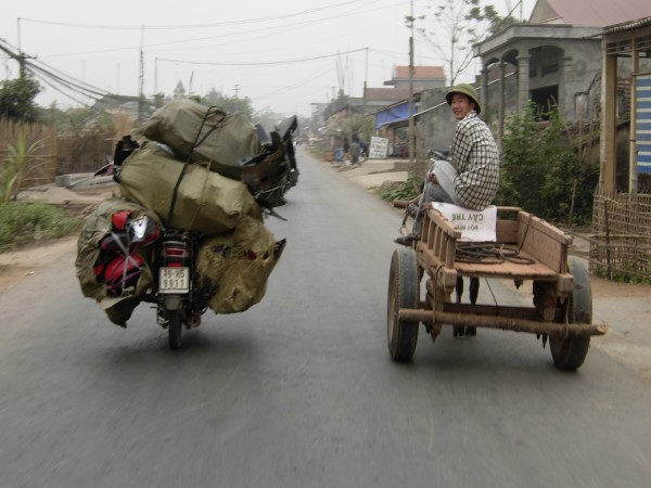 Scarica versione non compressa viet (WxH)