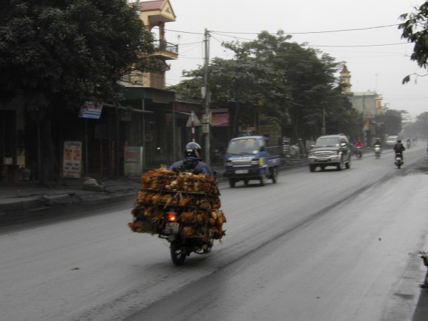 Scarica versione non compressa Viet (WxH)