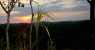 Tramonto (WxH) - Tramonto sulla foresta