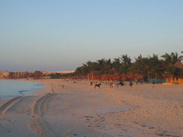 Scarica versione non compressa Playa del Carmen (WxH)