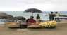 l'ombrellino (WxH) - -