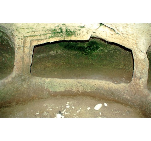 Scarica versione non compressa domus de jana (WxH)