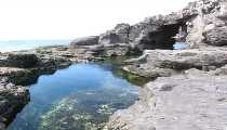 is praneddas (WxH) - località scogliera isola sant'antioco