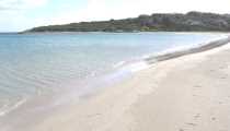 MALADROXIA (WxH) - ISOLA SANT'ANTIOCO