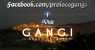 visit gangi (WxH) - visit gangi 