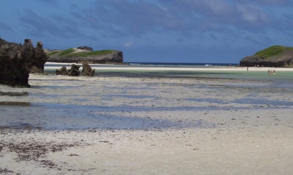 Scarica versione non compressa WATAMU (WxH)